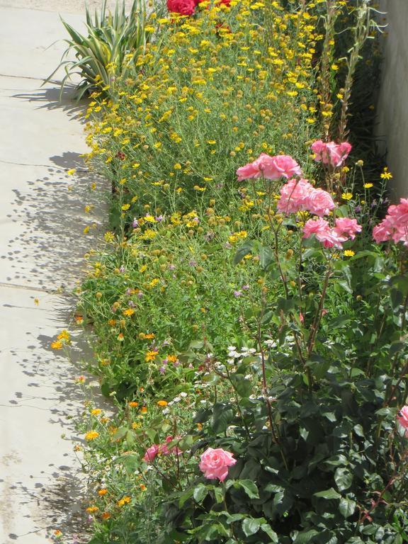 Apartment Cvita Biograd Na Moru Rum bild